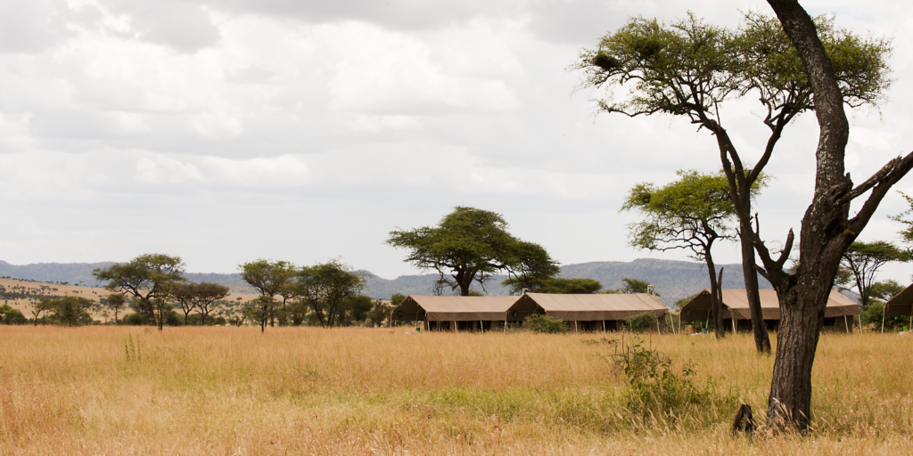 Serengeti Kati Kati Tented Camp - Enchanting Travels