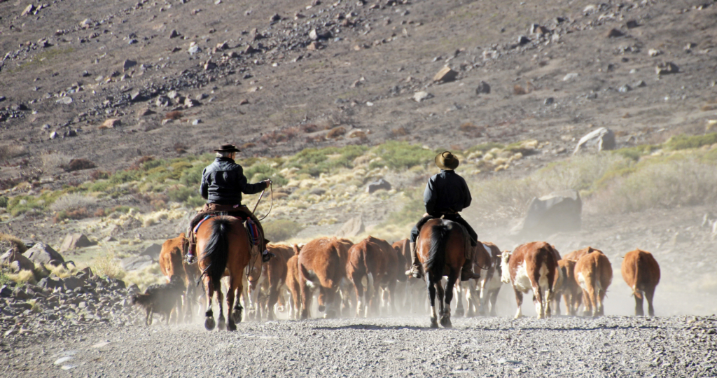 Best Things to Do in Argentina | Explore with Luxury Tour Packages