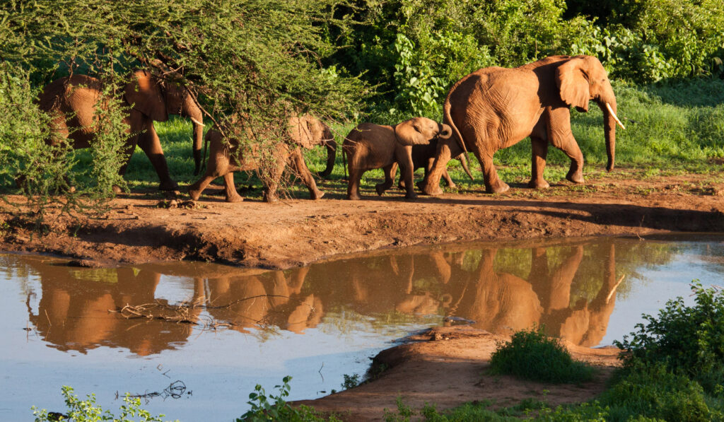 Meaningful Travel Experiences That Stay with You