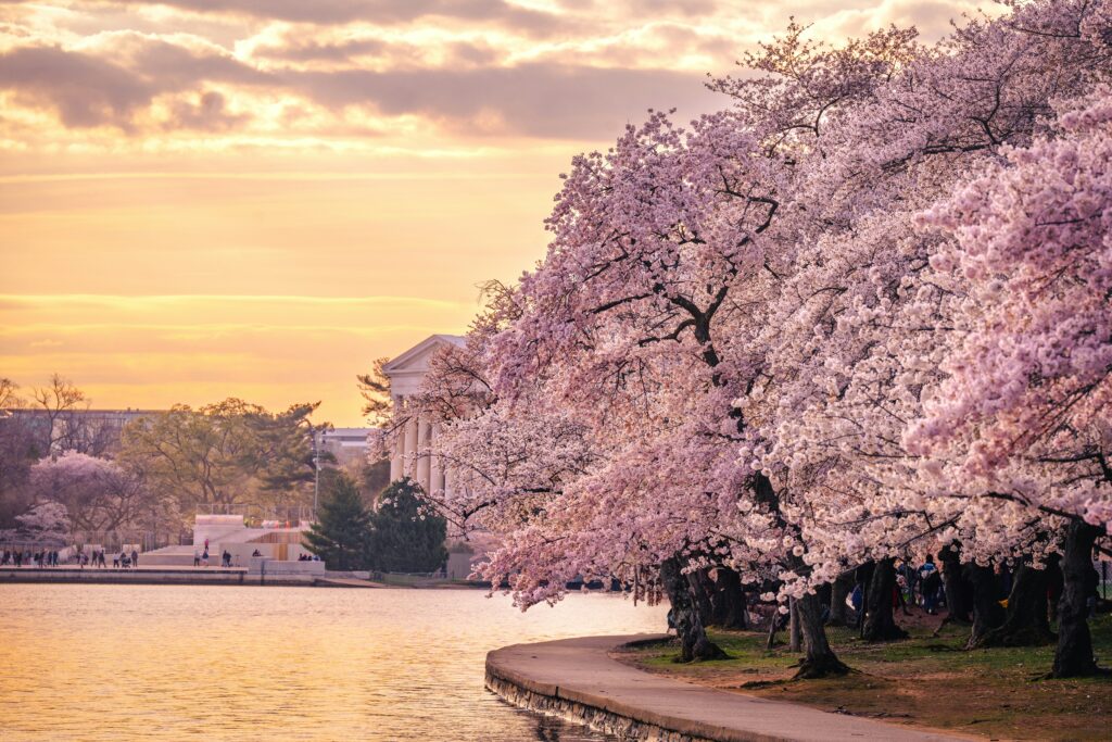Where to Travel in Spring: 10 Beautiful Destinations